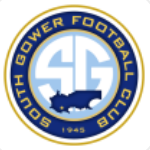 เซาท์ โกเวอร์