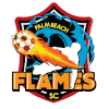 Palm Beach Flames