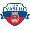 CSSM Vaslui