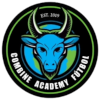 Combine Academy