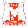 Orzel Walcz