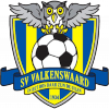 SV Valkenswaard